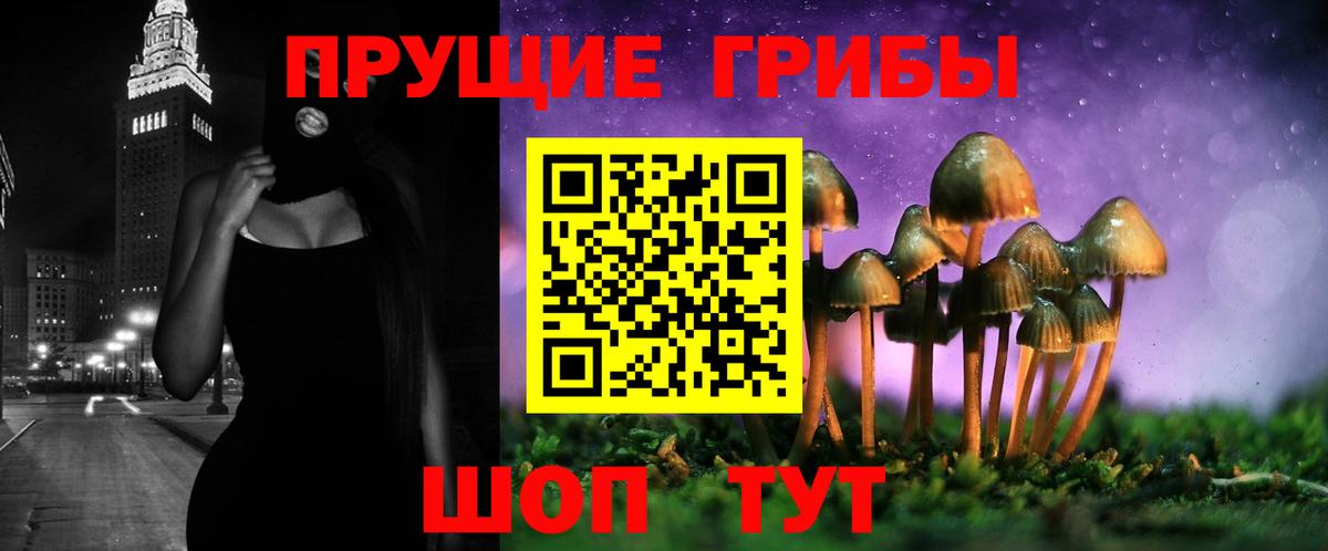 магазин    Псилоцибиновые грибы Psilocybe  Вход с VPN  Урюпинск 